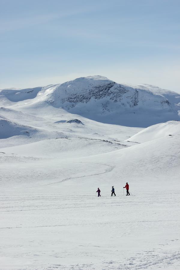 Bygdin Hoyfjellshotell Beitostolen ภายนอก รูปภาพ
