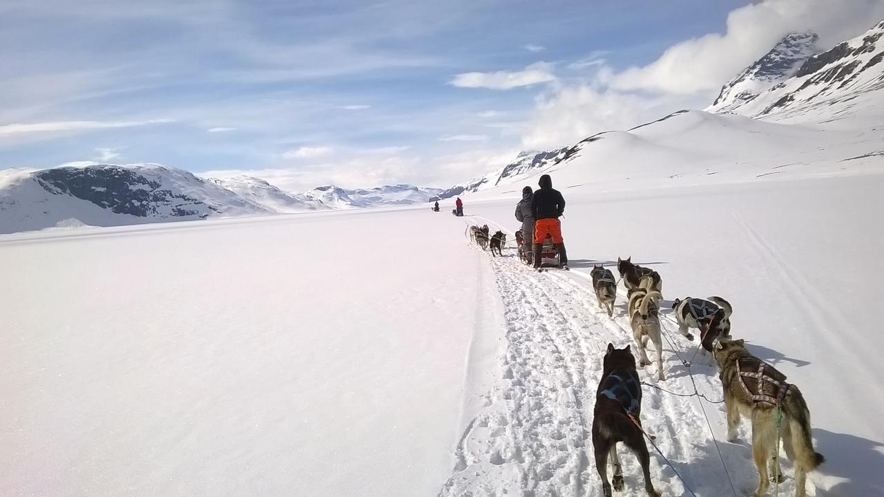 Bygdin Hoyfjellshotell Beitostolen ภายนอก รูปภาพ